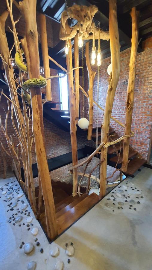 缽割貓點點 青旅 Diandian Hostel Puli Esterno foto